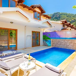 Elmas Paradise Villa